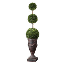 Triple Topiary Preserved Boxwood