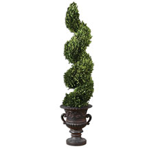 Spiral Topiary Preserved Boxwood