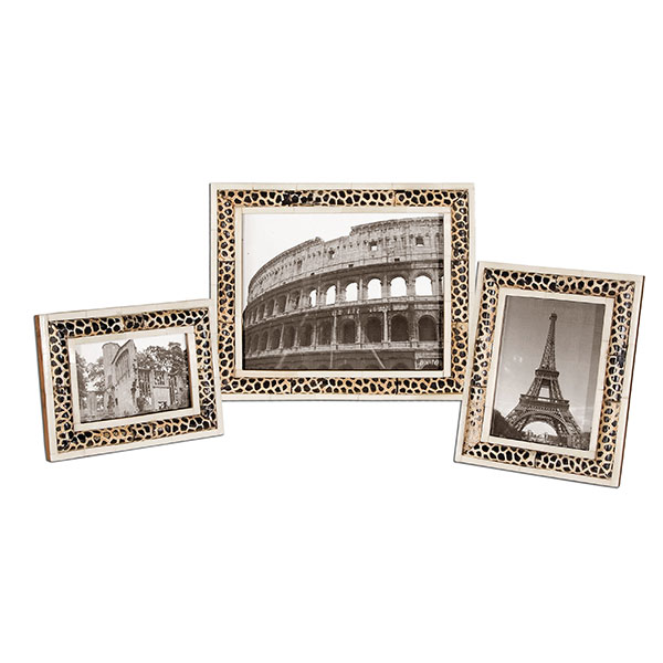 Carnelia Modern Photo Frames, Set/3 - Click Image to Close