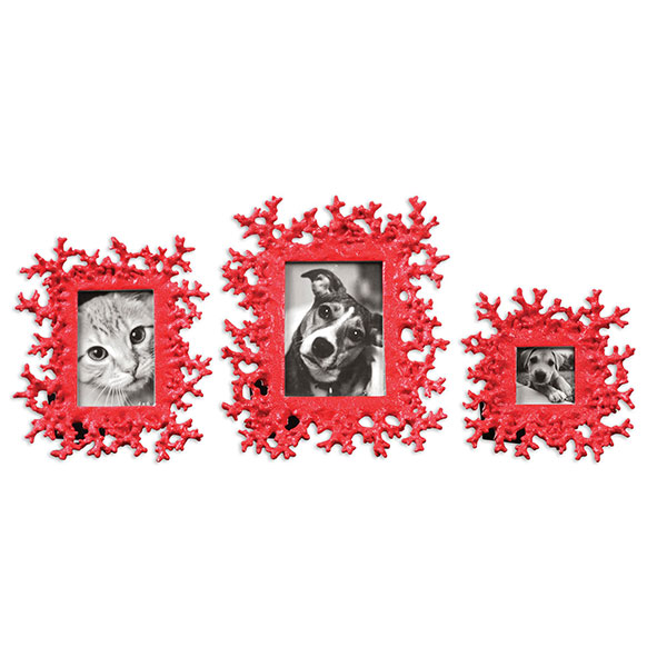 Red Coral Photo Frames Set/3 - Click Image to Close