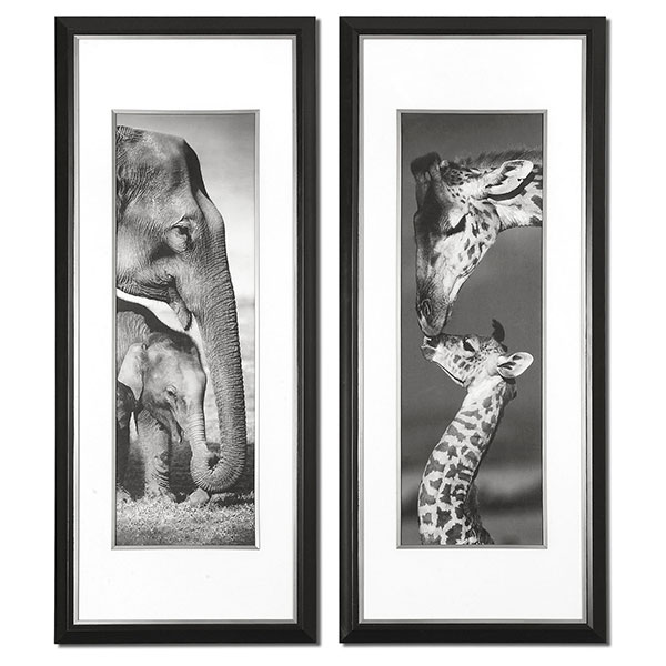 Exotic Giants Framed Art Set/2 - Click Image to Close