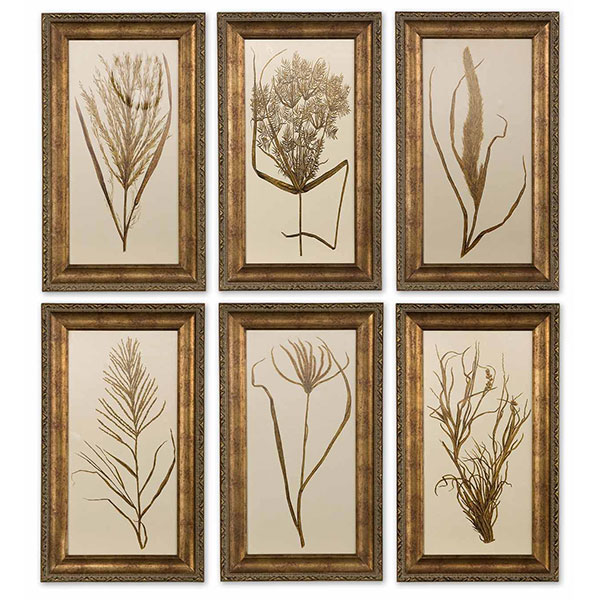 Wheat Grass Framed Art Set/6 - Click Image to Close
