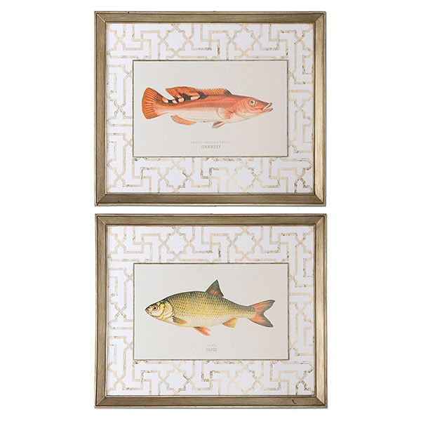 Wrass And Rudd Fish Art, S/2 - Click Image to Close
