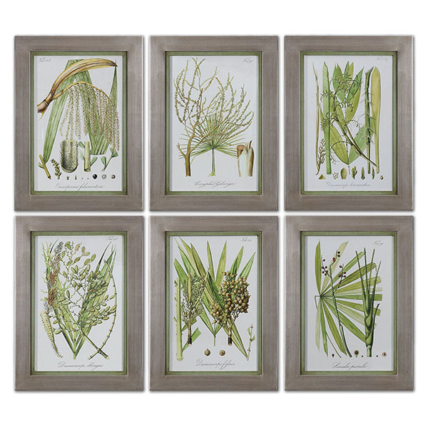 Palm Seeds Framed Prints, S/6 - Click Image to Close