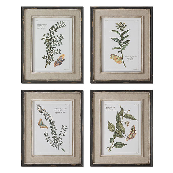 Butterfly Plants Framed Art, S/4 - Click Image to Close