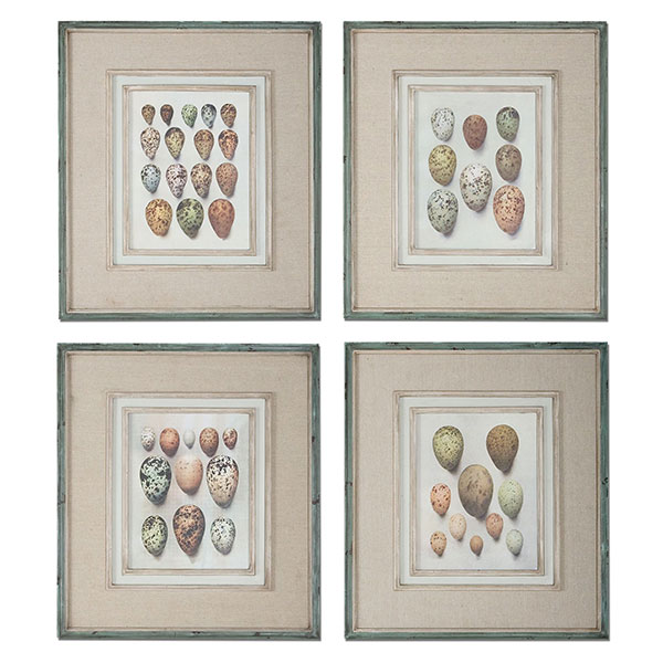 Study Of Eggs Framed Art, S/4 - Click Image to Close