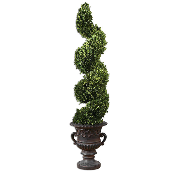 Spiral Topiary Preserved Boxwood - Click Image to Close