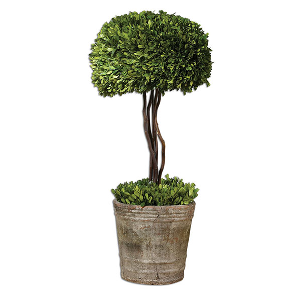 Tree Topiary Preserved Boxwood - Click Image to Close