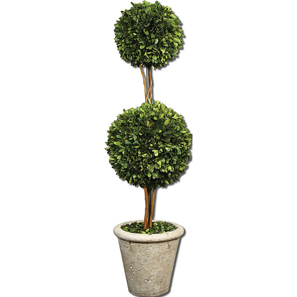 Two Sphere Topiary Preserved Boxwood - Click Image to Close