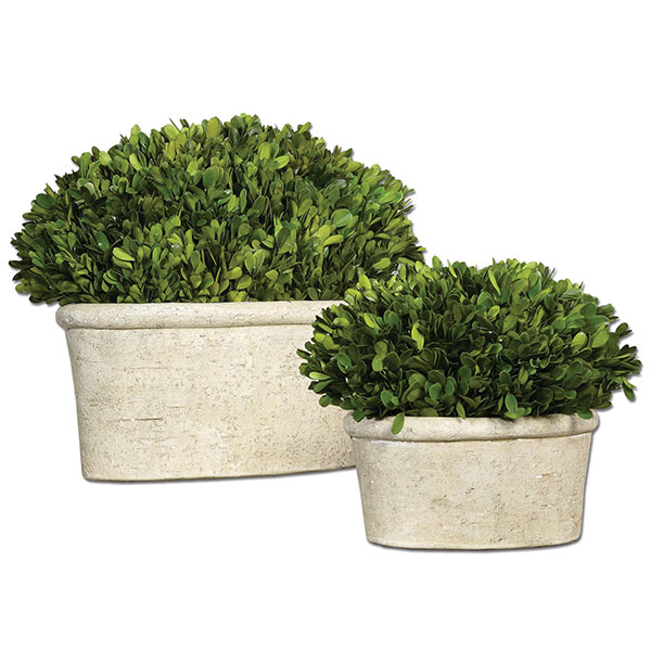 Oval Domes Preserved Boxwood Set/2 - Click Image to Close