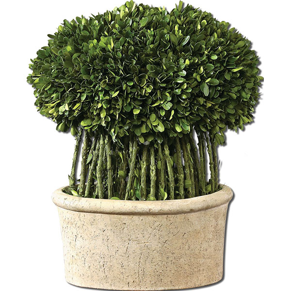 Willow Topiary Preserved Boxwood - Click Image to Close