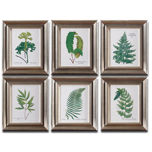 Ferns Framed Art Set/6