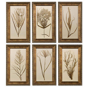 Wheat Grass Framed Art Set/6