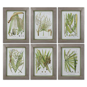 Palm Seeds Framed Prints, S/6